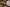 - Ypnasted 1, Ypnasted
