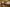 - Ypnasted 1, Ypnasted