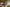 - Ypnasted 1, Ypnasted