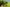 - Ypnasted 1, Ypnasted