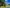 - Ypnasted 1, Ypnasted