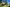 - Ypnasted 1, Ypnasted