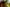 - Ypnasted 1, Ypnasted