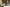- Ypnasted 1, Ypnasted