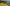 - Ypnasted 1, Ypnasted