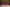- Ypnasted 1, Ypnasted