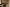 - Ypnasted 1, Ypnasted