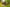 - Ypnasted 1, Ypnasted