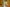 - Ypnasted 1, Ypnasted
