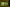 - Ypnasted 1, Ypnasted