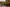 - Ypnasted 1, Ypnasted